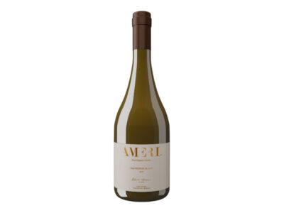 2023 Ameri Sauvignon Blanc